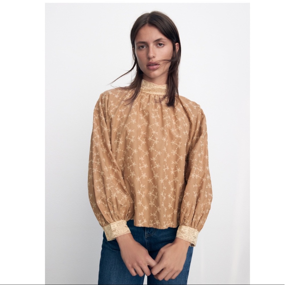 NWT ZARA EMBROIDERED ROMANTIC MOCK NECK BLOUSE XS